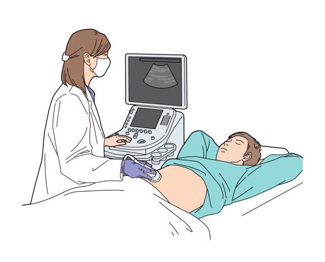 腹部超音波検査（腹部エコー）